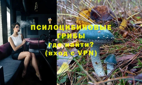 spice Абинск