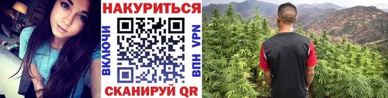 купить наркотики цена  Нефтеюганск  мега как войти  Бошки марихуана Amnesia 